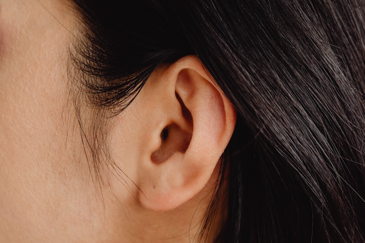 expertise-01 Detailed close-up photo showcasing a human ear with dark hair.